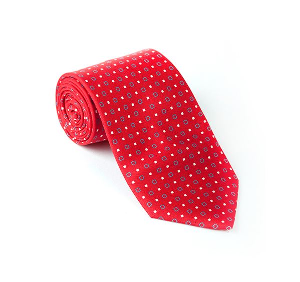 Red & Light Blue Fancy Printed Tie