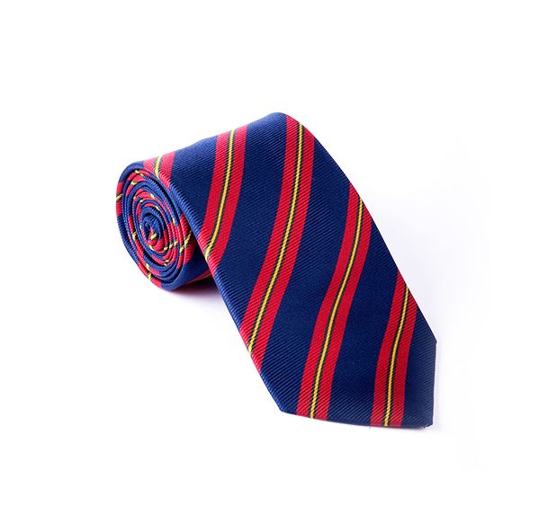 Blue & Red Striped Printed Tie