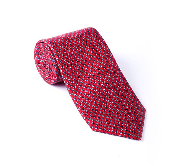 Red & Blue Paisley Printed Tie